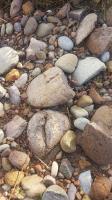 Dry River Bottom